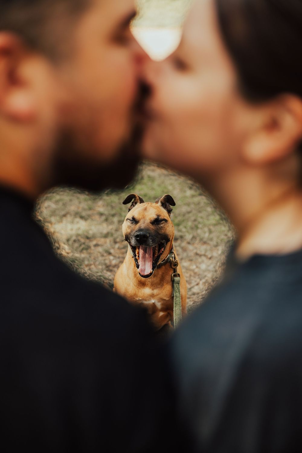 Excited dog photobombs romantic couple portrait with a big happy smile in heart-shaped frame.