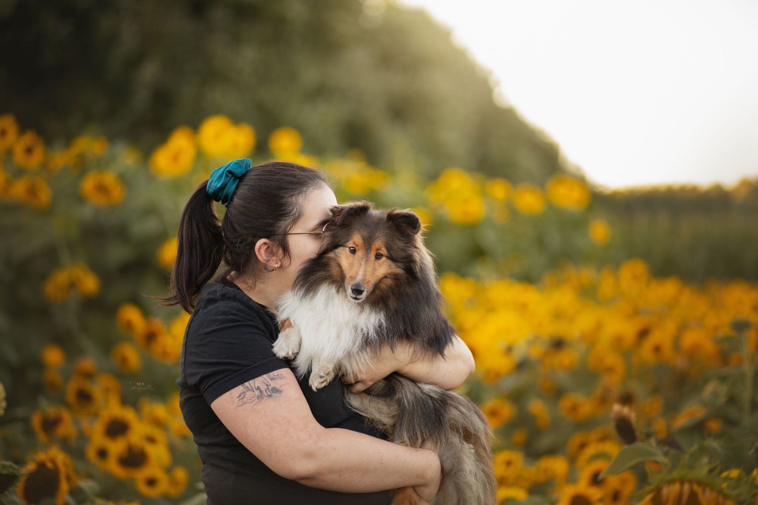 human-dog-photoshoot
dog-portrait-photoshoot
dog-in-flowers-photoshoot