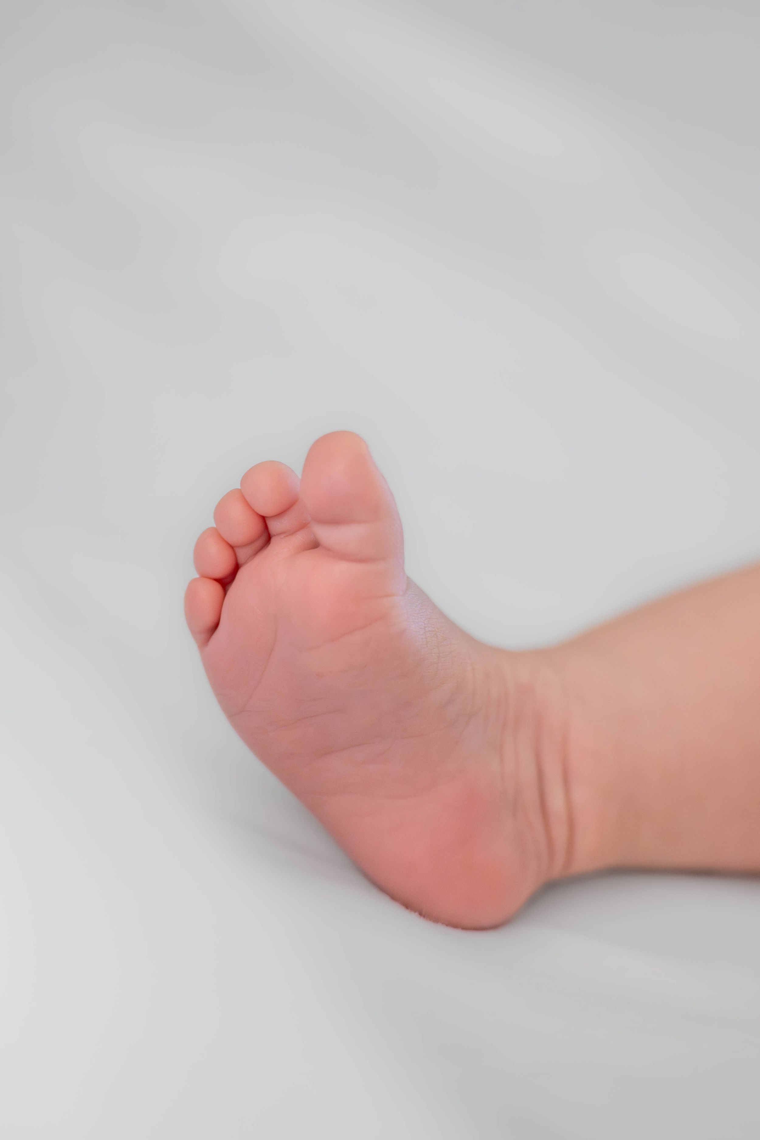 Close-up view of tiny baby feet and legs against a soft white background. Newborn Photography Quad Cities