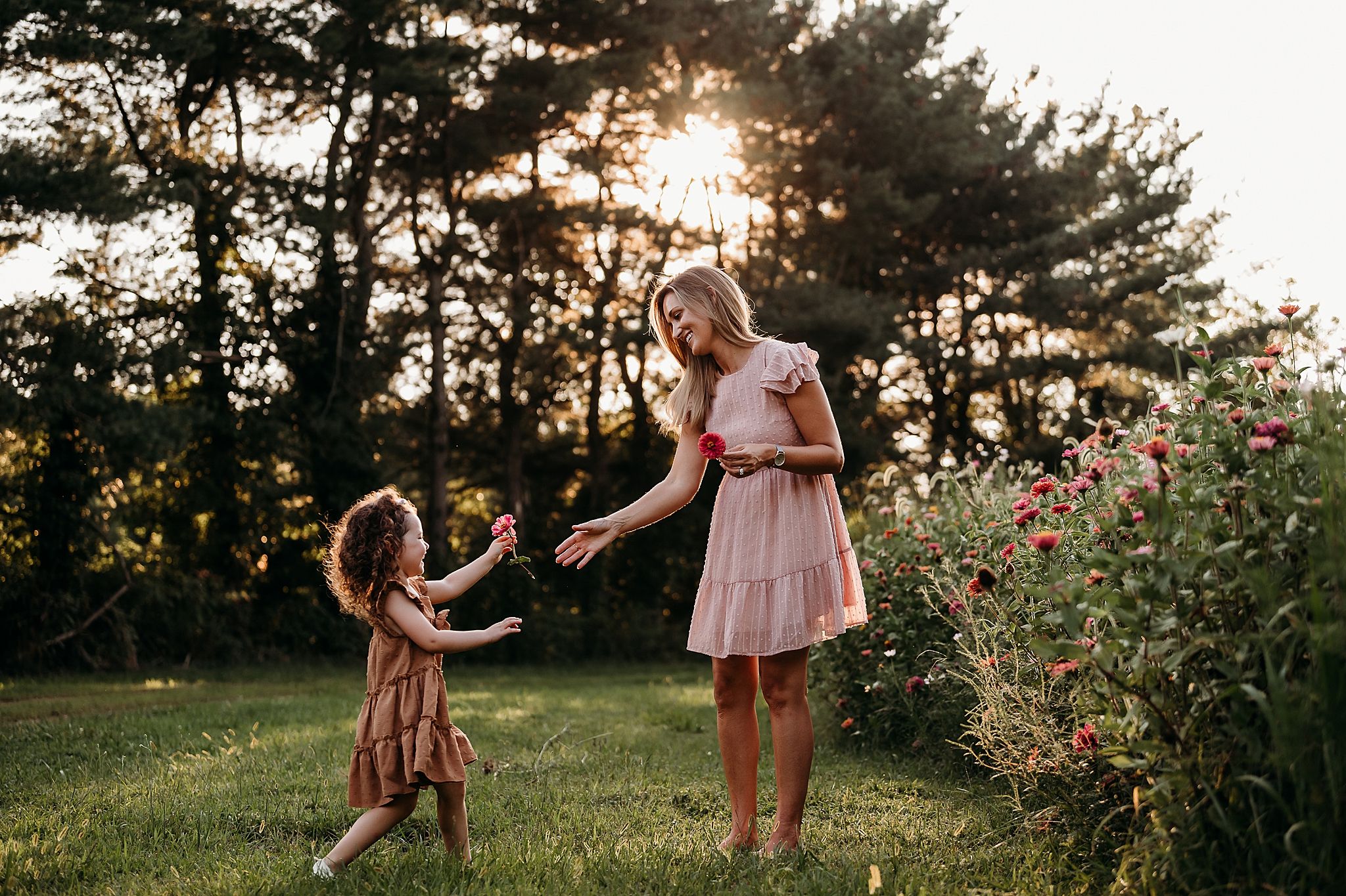 Sunset family photoshoot in a flower garden with golden light filtering through pine trees.