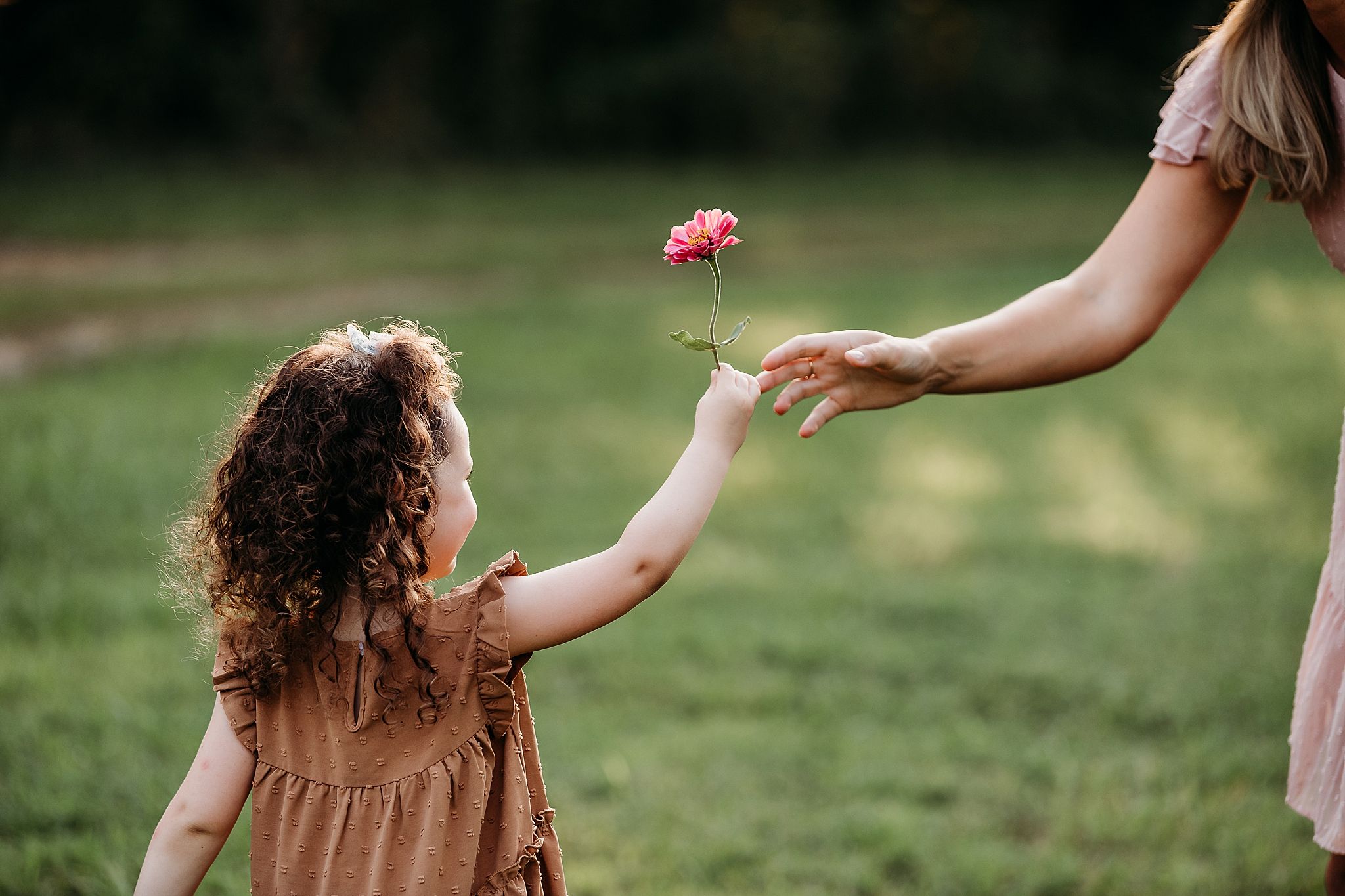 A delicate pink flower being passed between hands in a serene outdoor setting with golden sunlight filtering through.