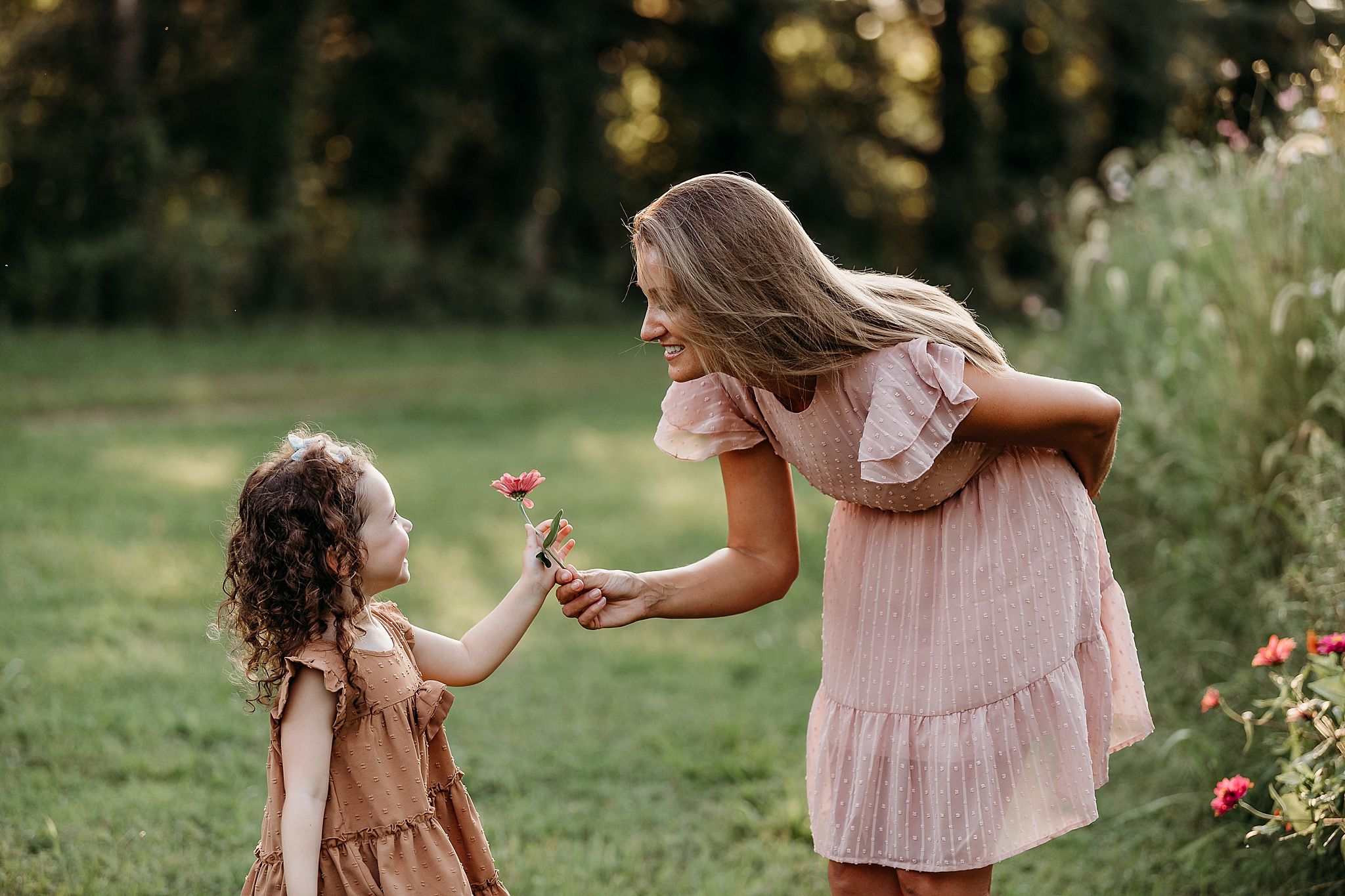 A tender moment shared outdoors as a pink flower is exchanged between two people in a sunlit garden setting.