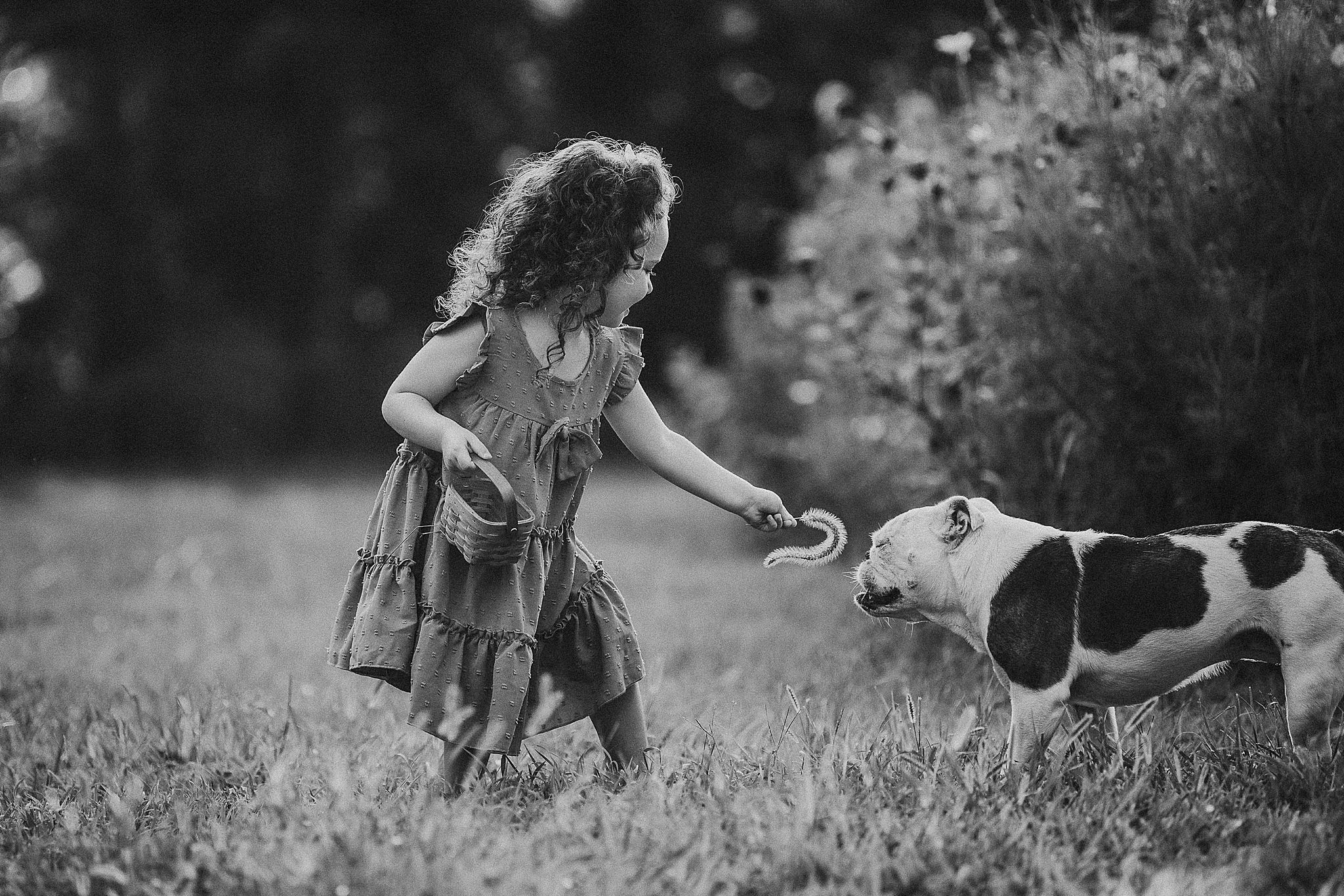 A child in a dress playing with a spotted dog in a grassy field, captured in black and white.