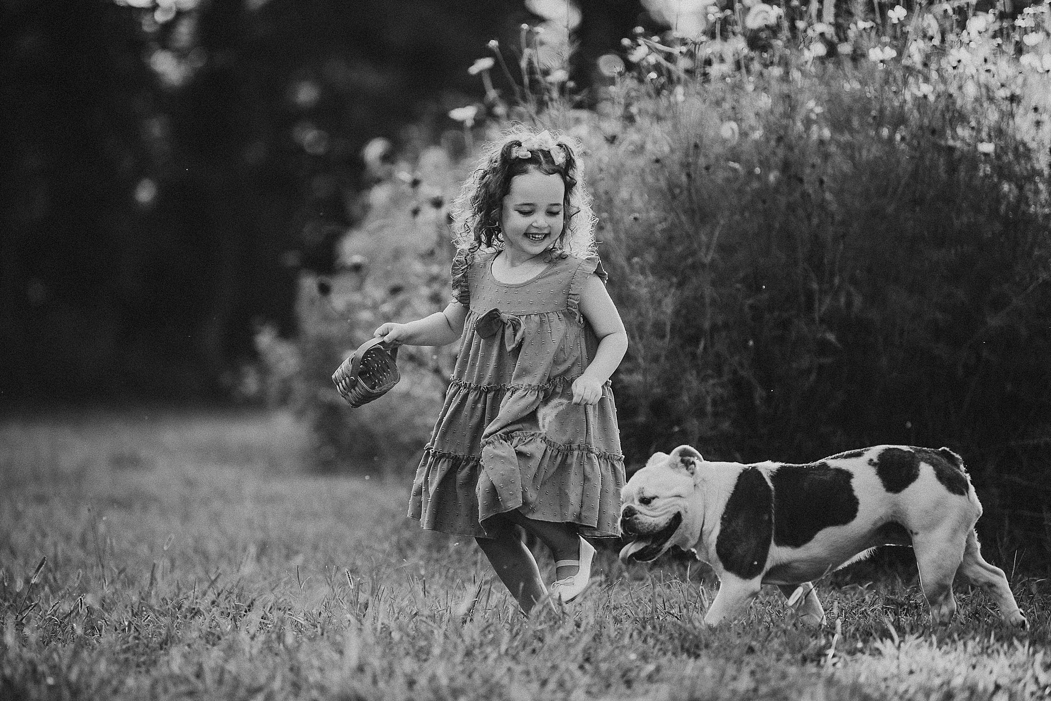 Seven black and white nature-themed lifestyle photographs arranged in a horizontal collage show outdoor scenes with dogs.