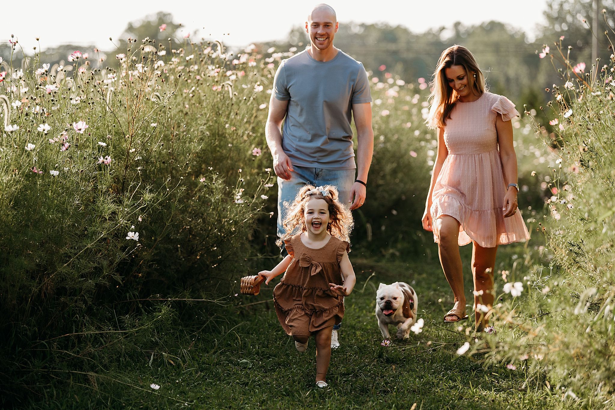 A family and their small dog walk together through a sunny wildflower meadow on a summer afternoon.