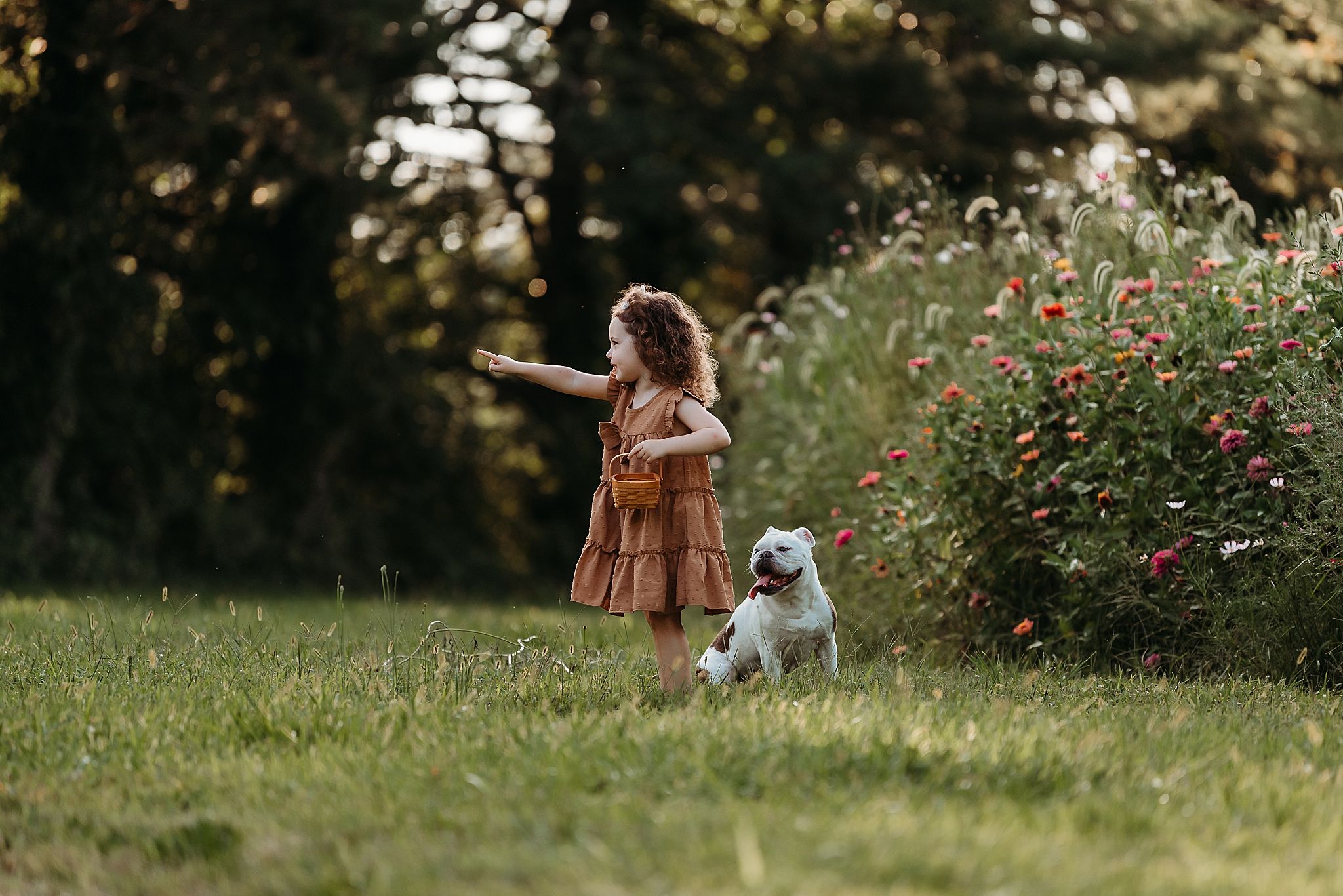 In a garden setting, a figure in a brown dress walks alongside a small white dog near flowering bushes.