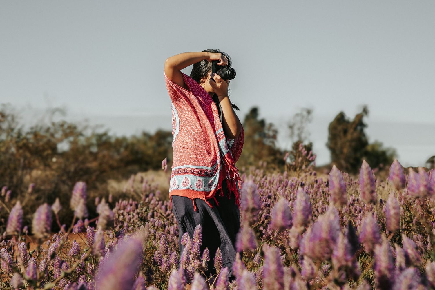 Person walking through vibrant purple wildflower field during golden hour.