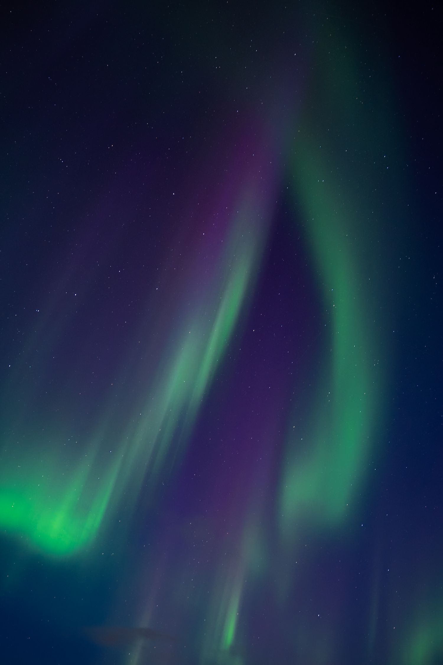 aurores boreales à reine dans les lofoten