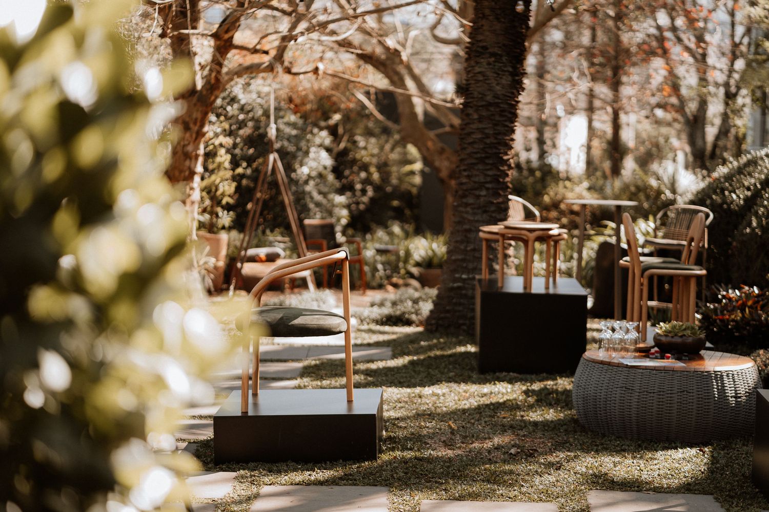 Garden seating area with contemporary furniture under natural tree canopy.