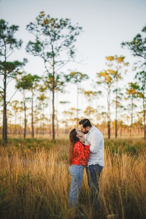 A couple stands in a golden field of tall grass at sunset with pine trees silhouetted against the sky.