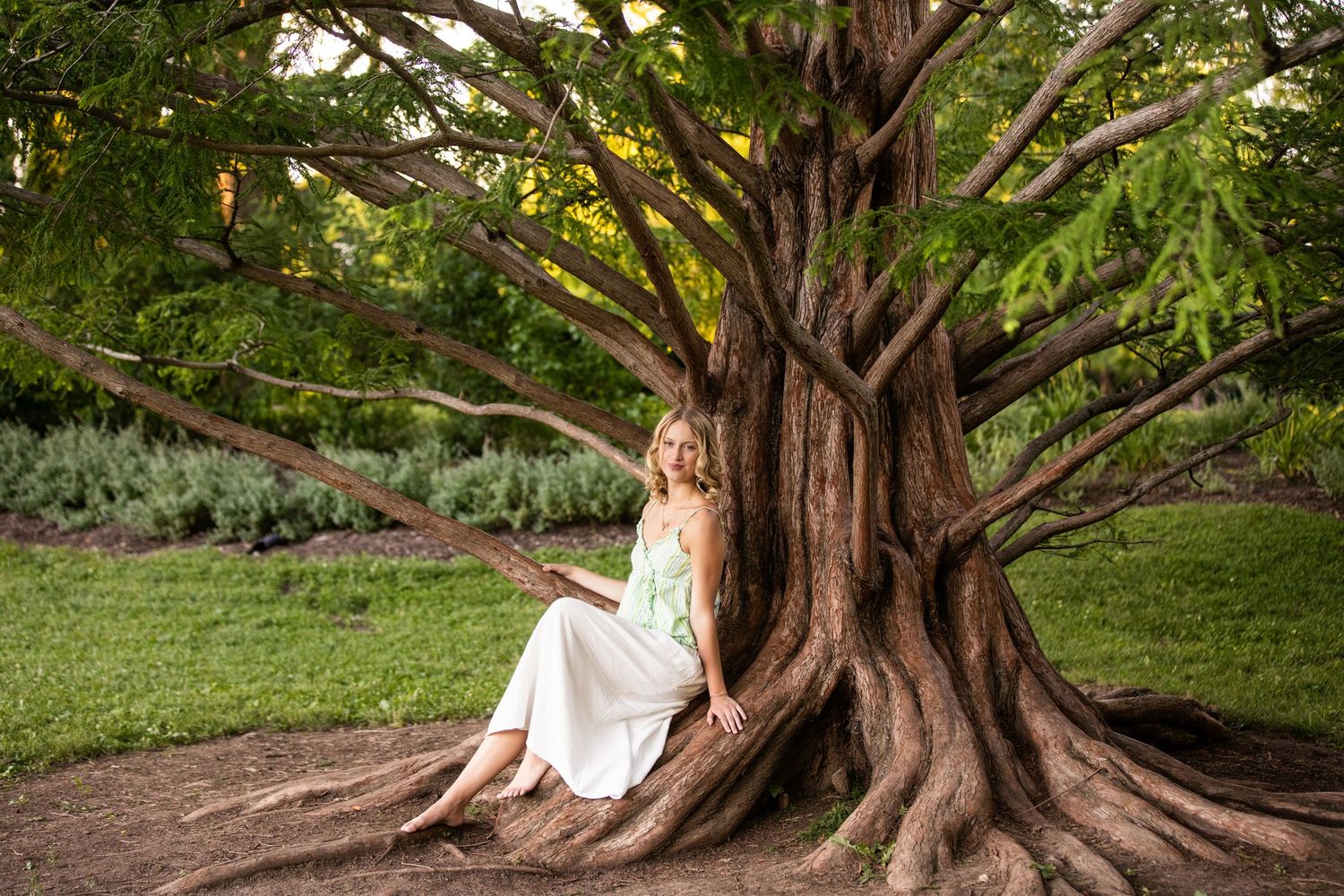 Woman in white dress sitting against large banyan tree roots in lush green park setting.