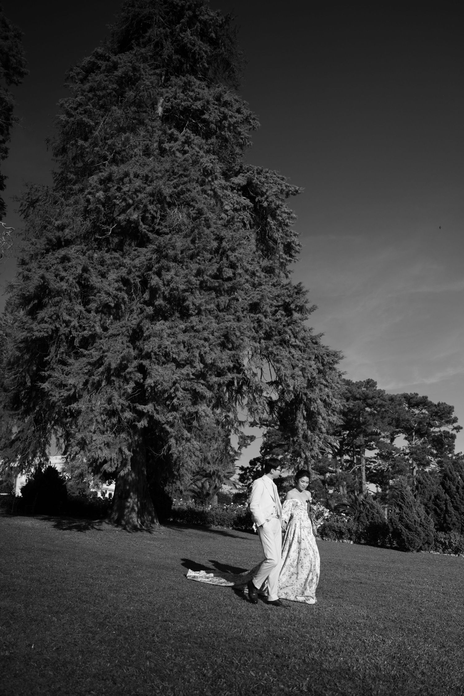 Black and white wide shot of bride and groom walking on lawn beside towering evergreen tree.