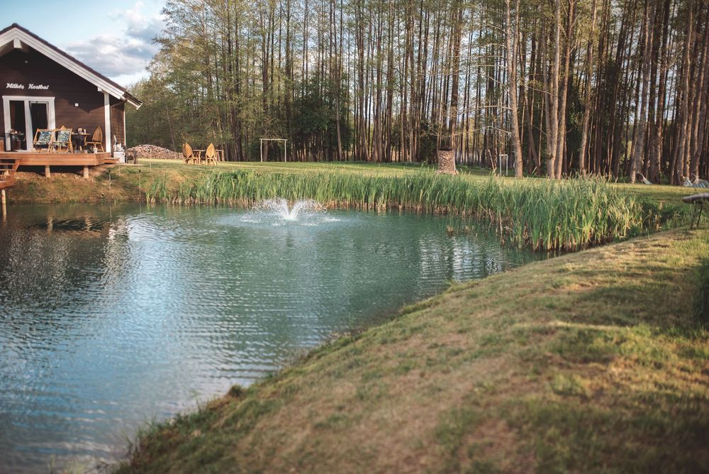 Sodybos fotosesija
Sodybos akimirkų įamžinimas
vivifotografija
fotografė Viktorija
projektai