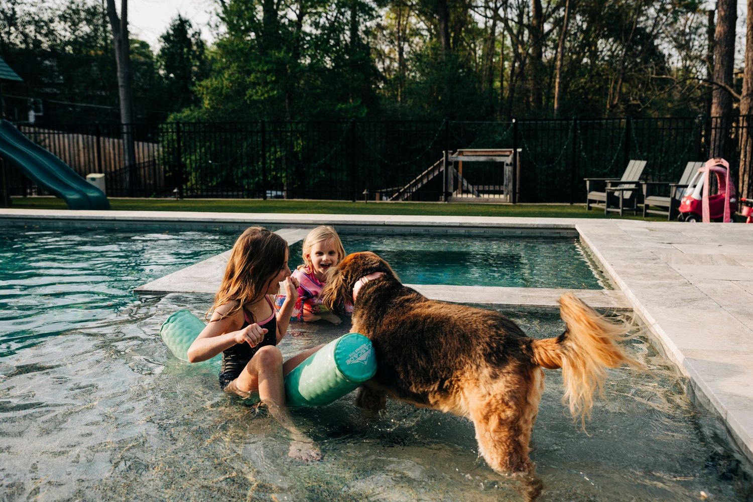 A dog plays in a swimming pool on a sunny afternoon at a residential backyard with little kids in Charlotte, NC.
