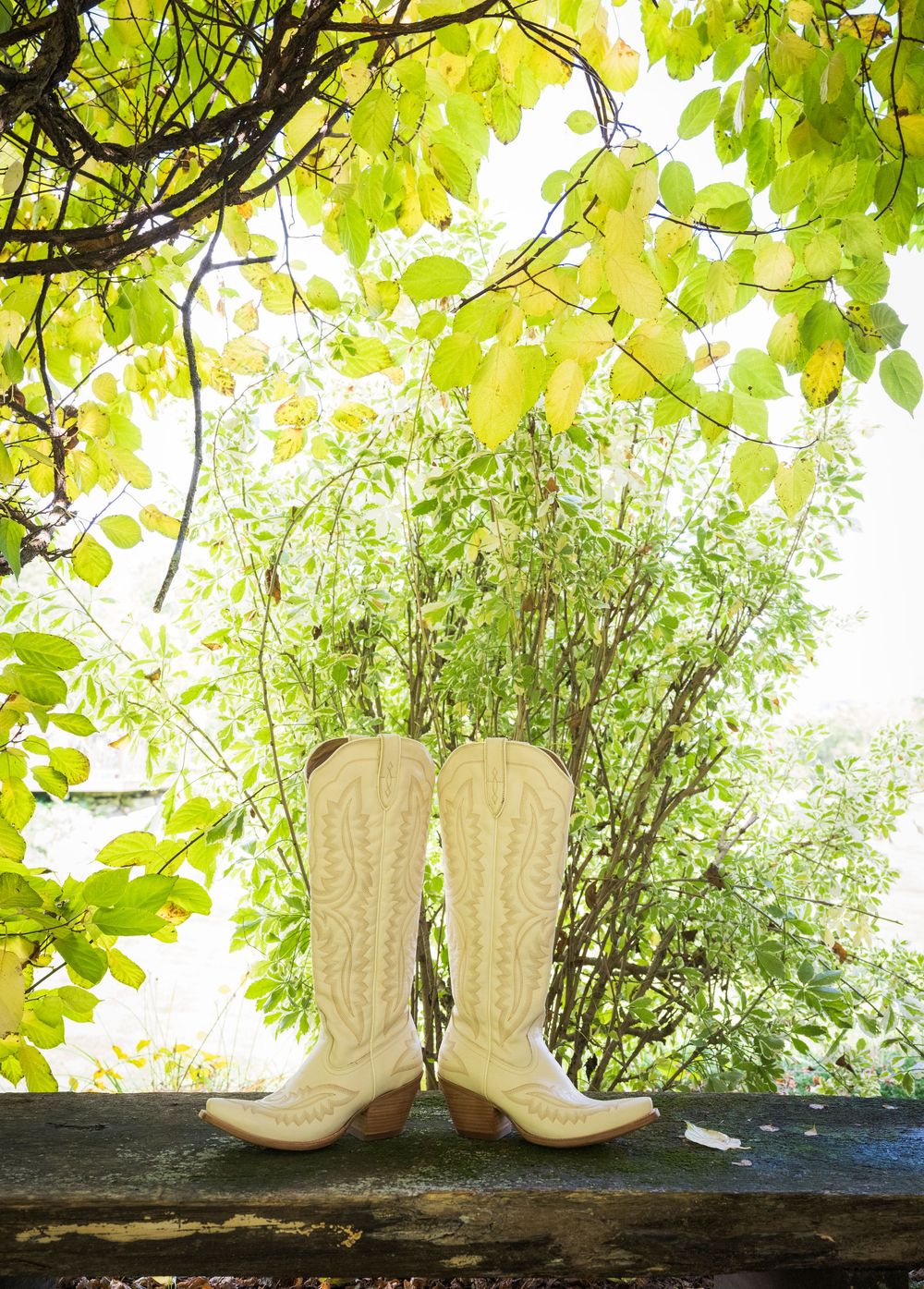 Wedding shoes displayed under green leaves in natural sunlight.