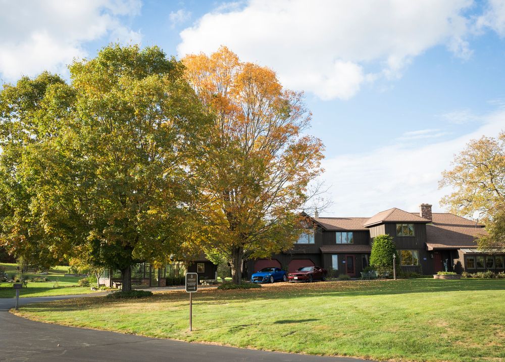 Panoramic view of a grassy hillside with autumn trees and buildings on a sunny day.