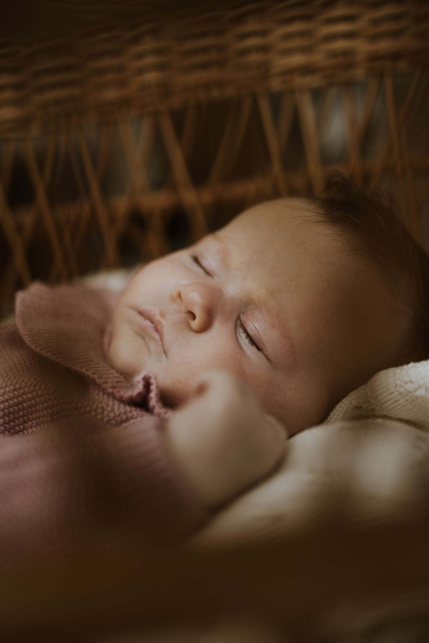 Geelong Lara Torquay Ocean Grove Barwon Heads newborn maternity pregnancy family motherhood couples photographer photography photoshoot