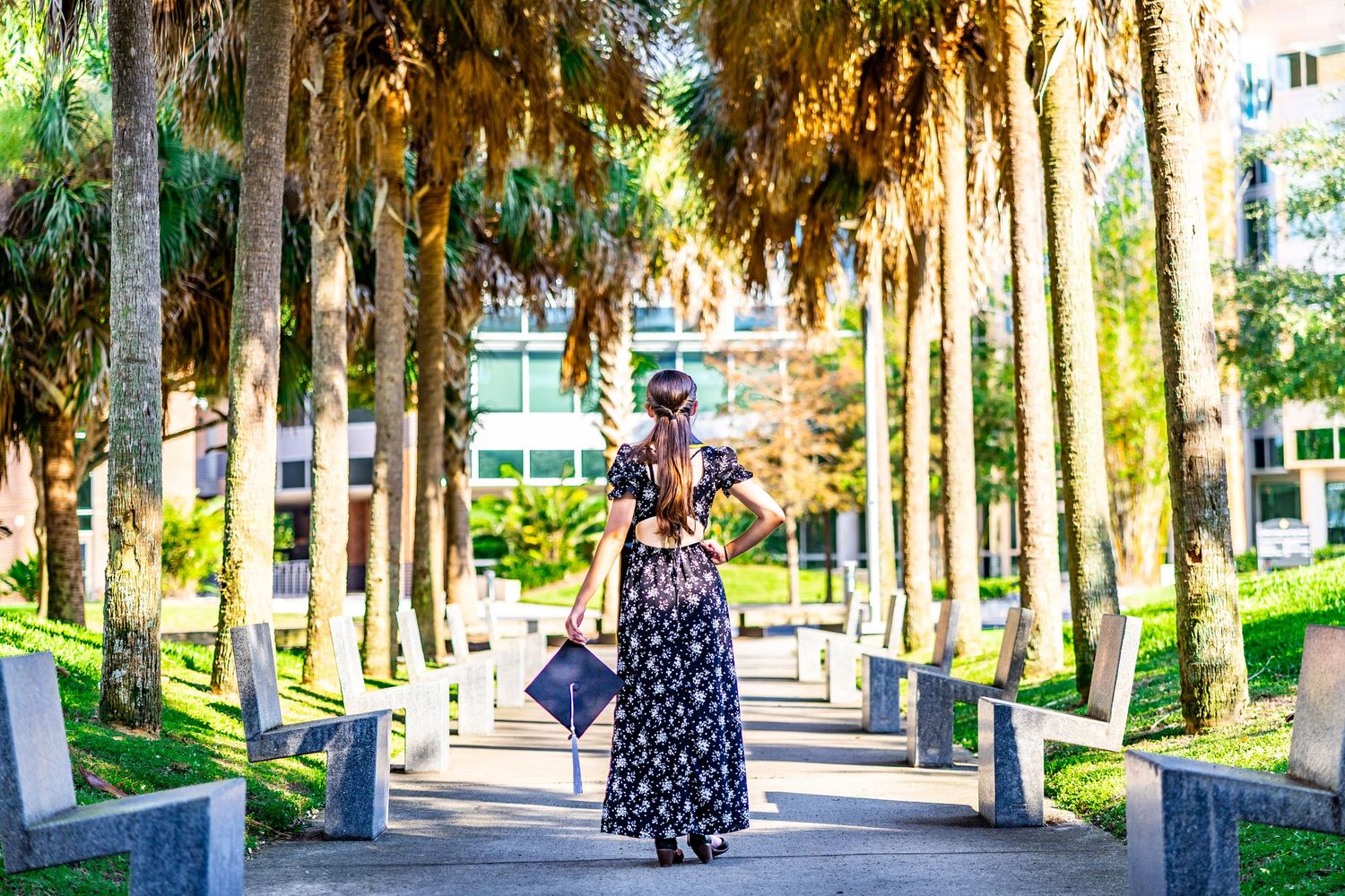 Palm tree lined walkway with benches in a sunny park setting.