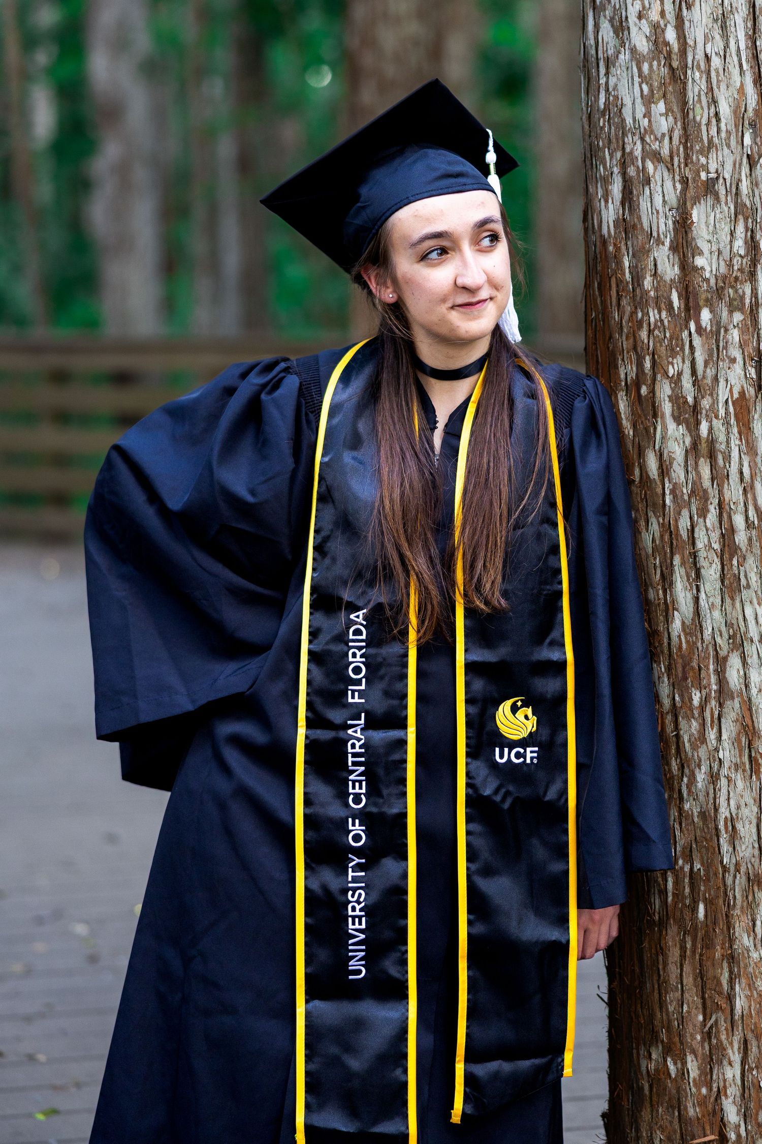 Sequential graduation photos showing a cap and gown against tree trunks.