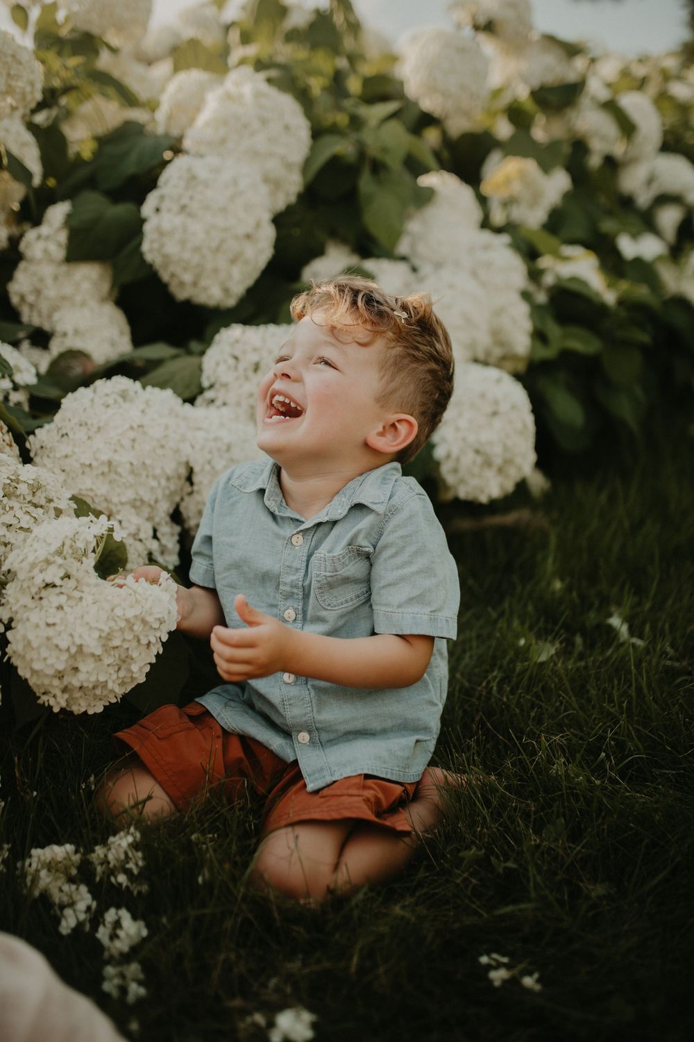 Joyful laughter captured during a candid moment surrounded by white hydrangea flowers in a garden setting.