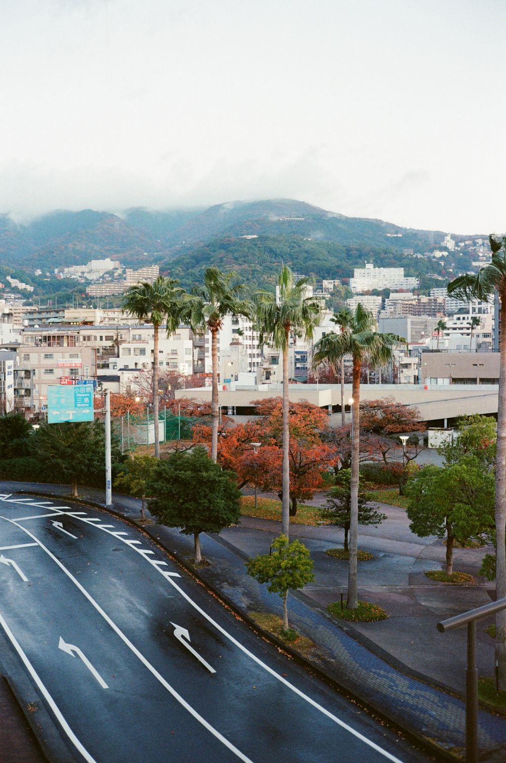 Urban street view with palm trees and mountains in the background, featuring a curved road and city buildings in Taiwan.
