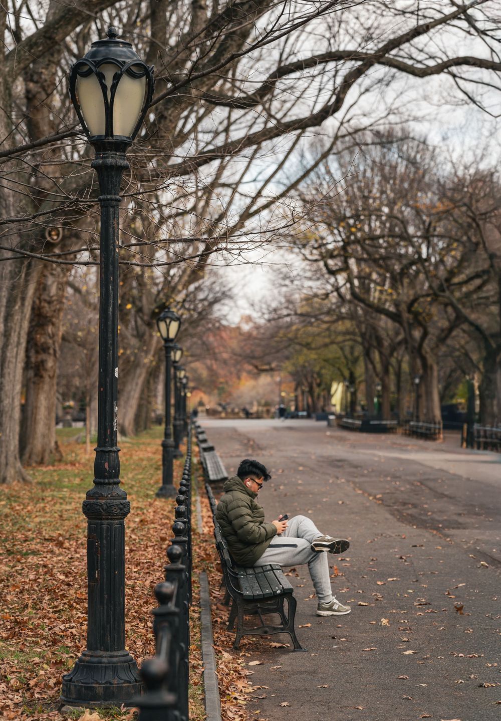 Person sits alone on a park bench reading beside vintage lamp posts on a bare autumn tree path.