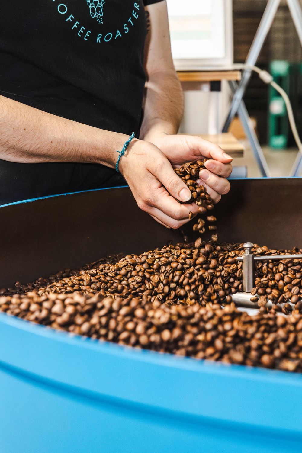 Coffee roaster sorting and inspecting fresh roasted coffee beans on a bright blue surface.