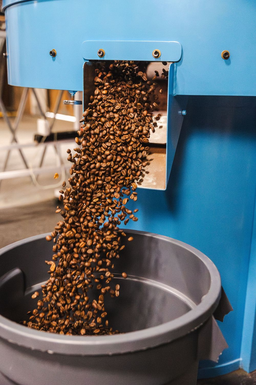 Fresh roasted coffee beans cascade into a cooling bin from a commercial coffee roasting machine against a blue background.