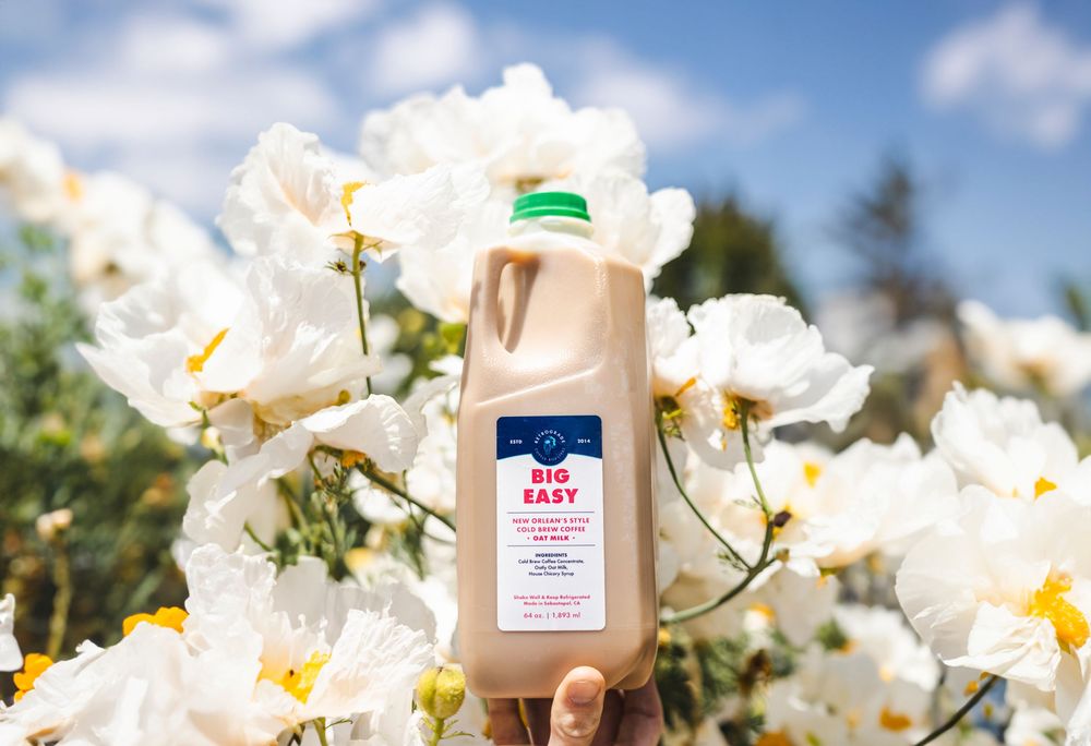 A gallon jug of milk sits among blooming white flowers in a sunny garden setting.
