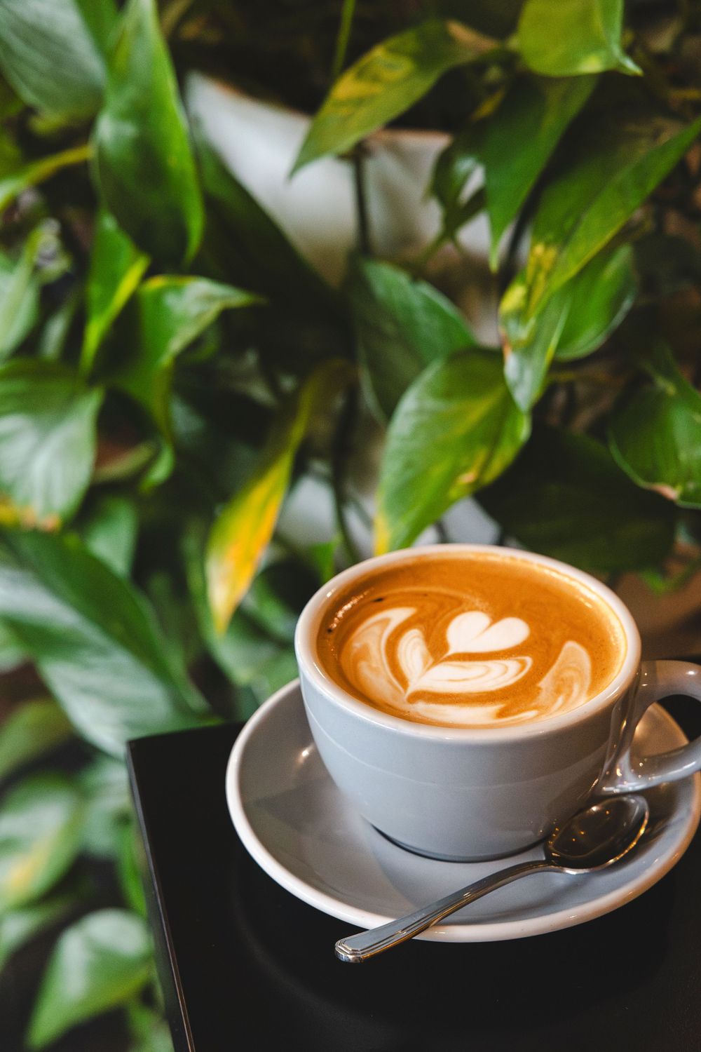 A white ceramic cup of latte with heart-shaped latte art sits on a saucer against a blurred green leafy background.