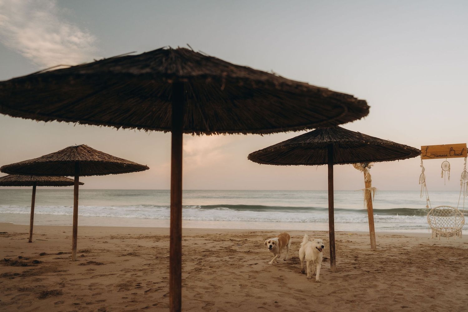 Beach umbrellas line a sandy shoreline at dusk with gentle waves in the background.