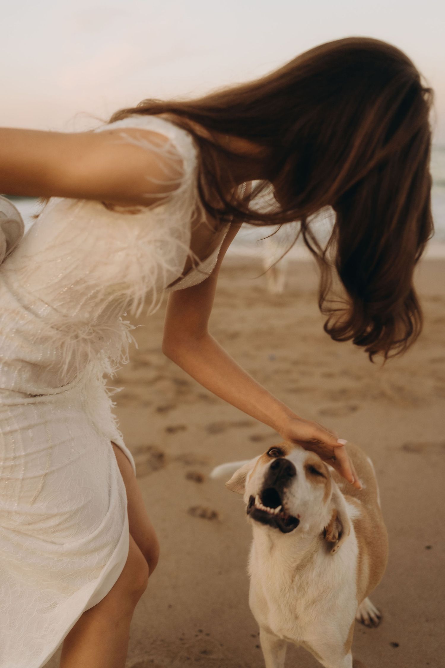 A person in a white dress plays with a white dog on the beach.