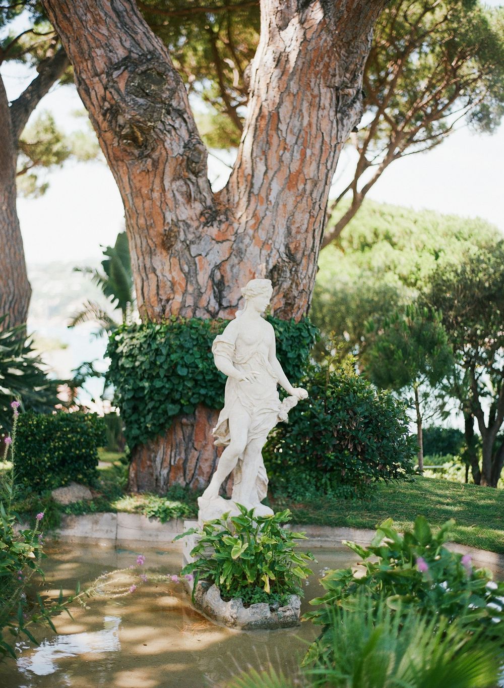 Classical white marble statue surrounded by lush greenery and tall pine trees in a Mediterranean garden setting.