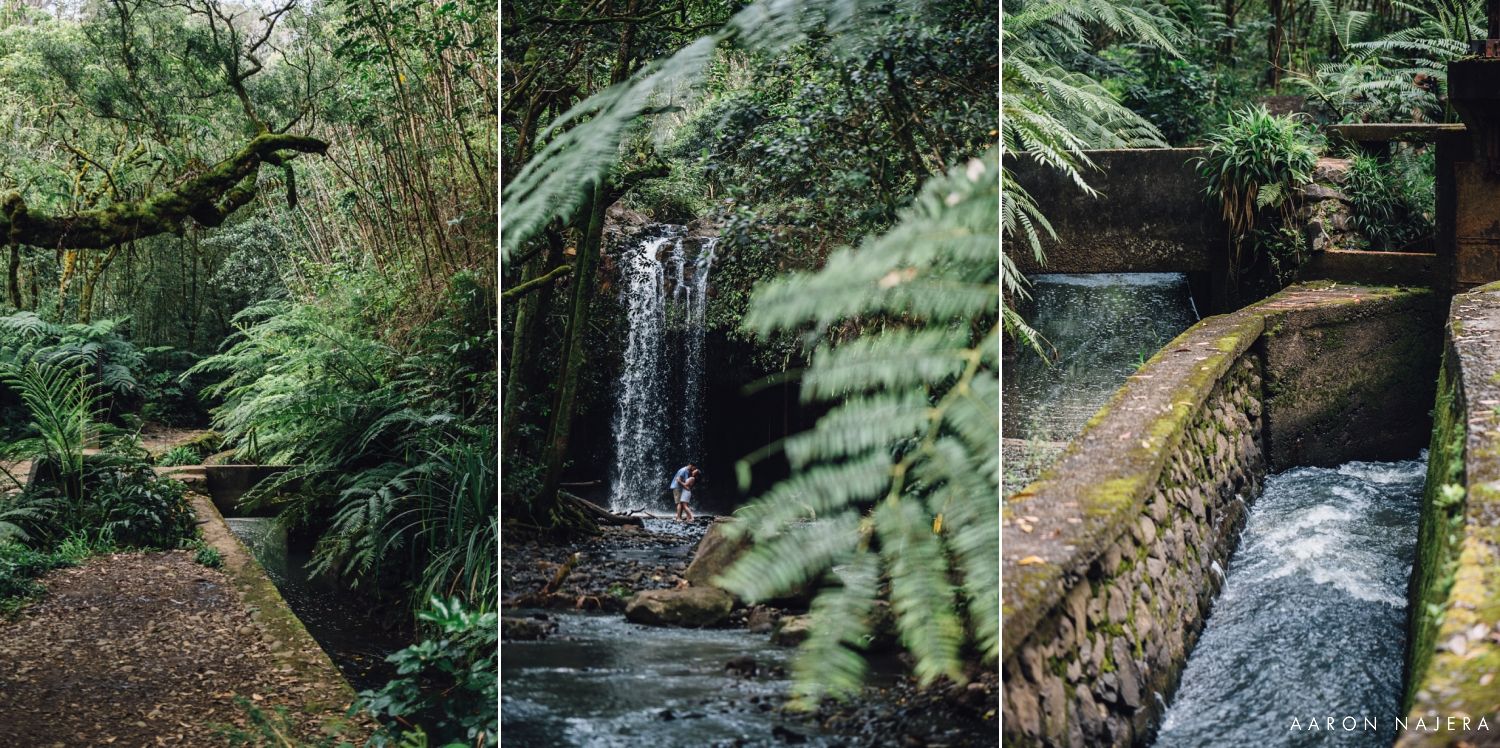 Triptych nature photography of waterfalls and streams in a lush forest setting.