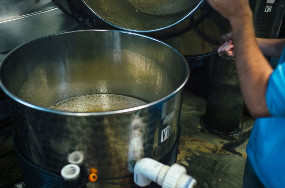Industrial brewing tanks with golden liquid being processed in a manufacturing facility.