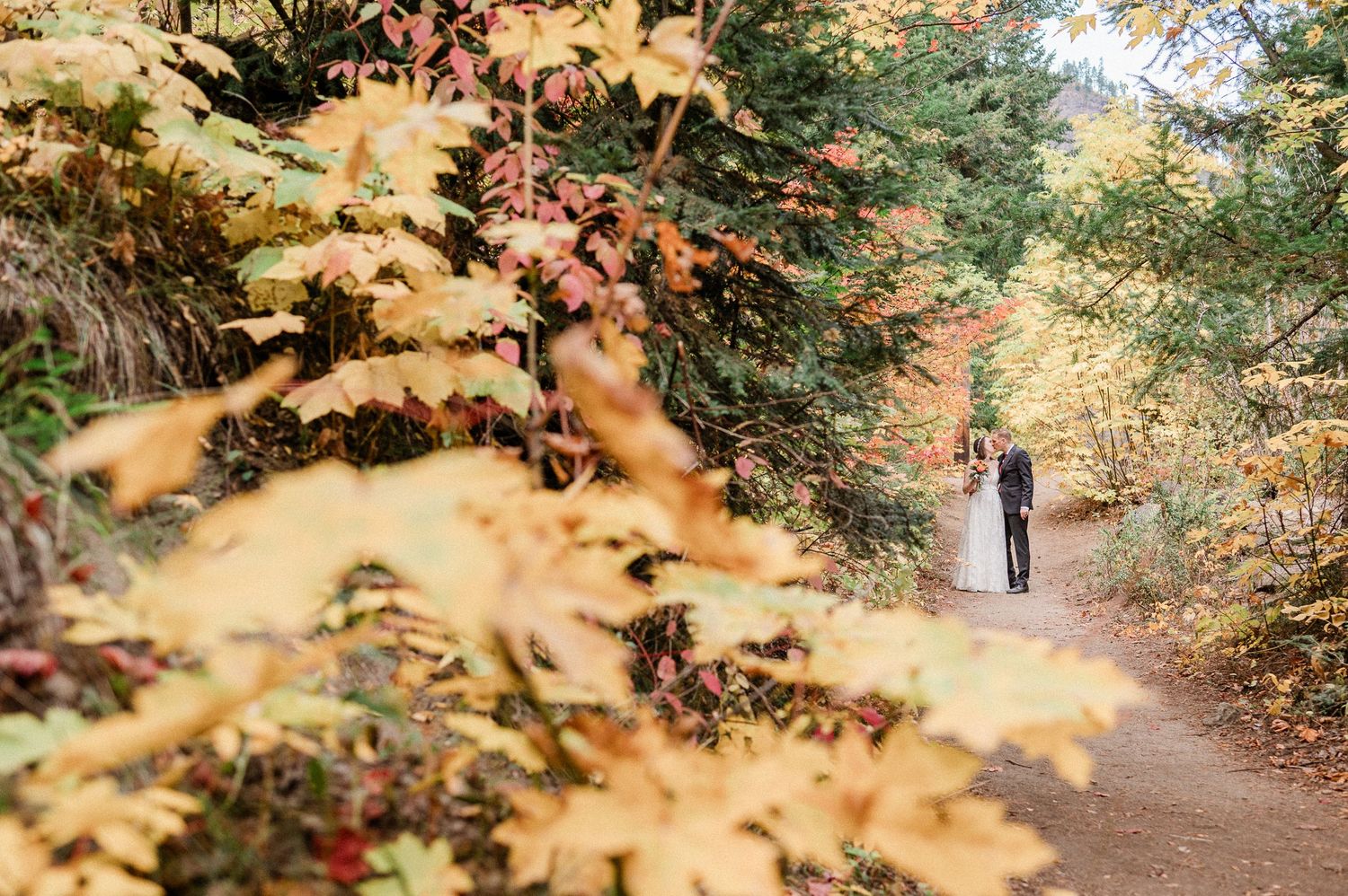 Golden autumn leaves frame a bride and groom in forest path beneath sunlit tree canopy during fall season in Leavenworth, Washington