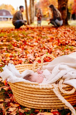 Newborn baby sleeping in wicker Moses basket surrounded by colorful autumn leaves outdoors.