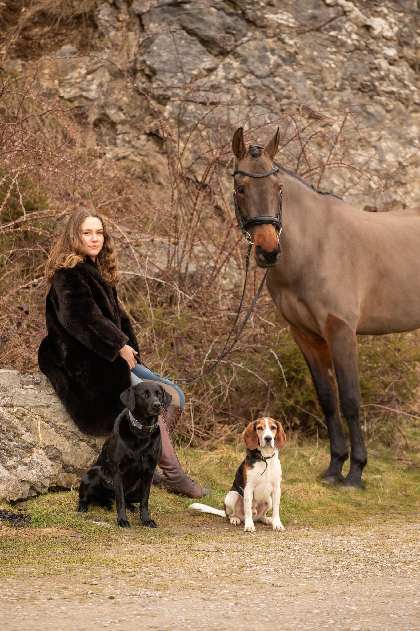 A majestic white horse stands with its handler amidst brown autumn hills during golden hour.