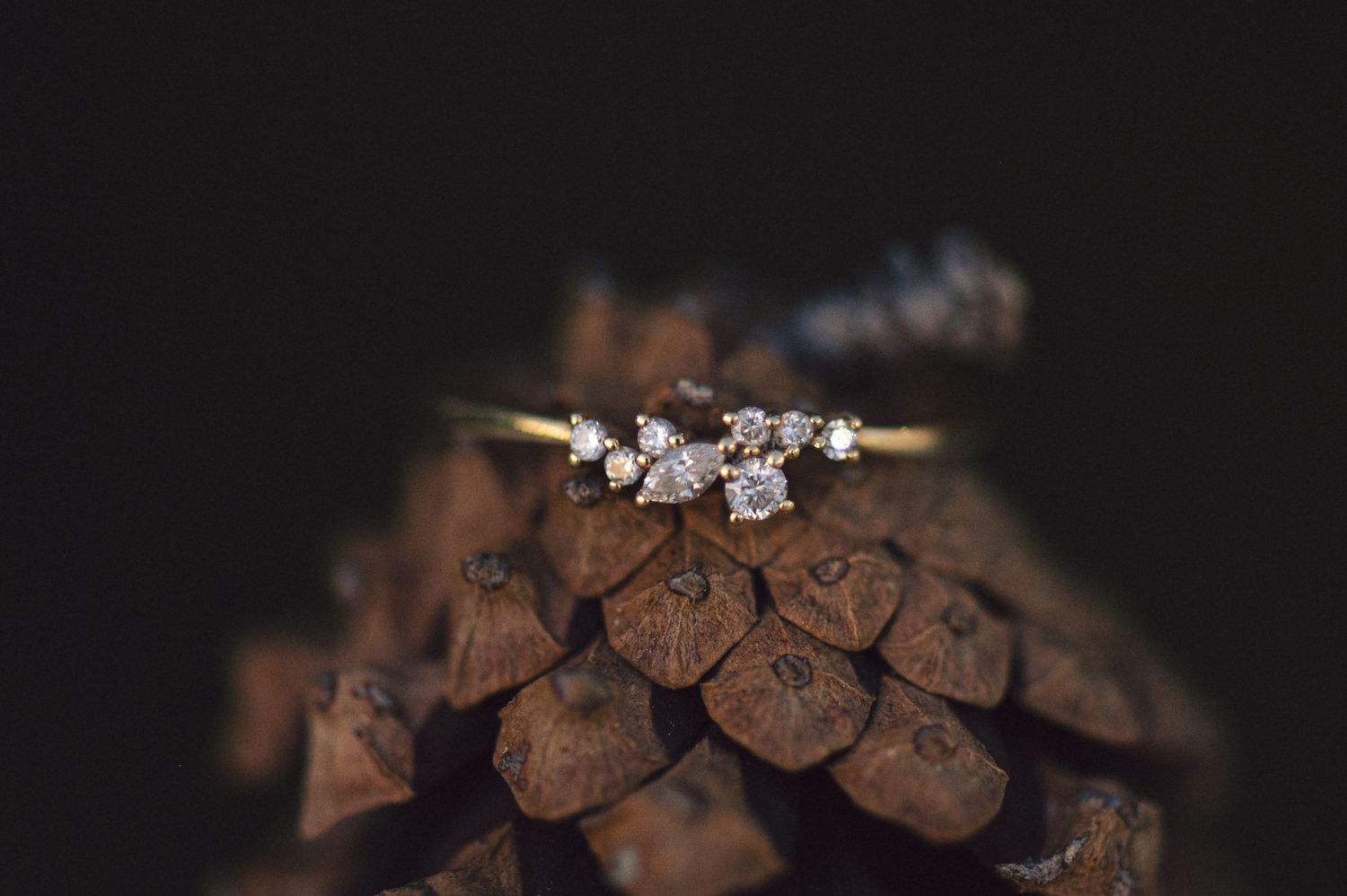 A sparkling engagement ring rests delicately on a dark pinecone against a black background.