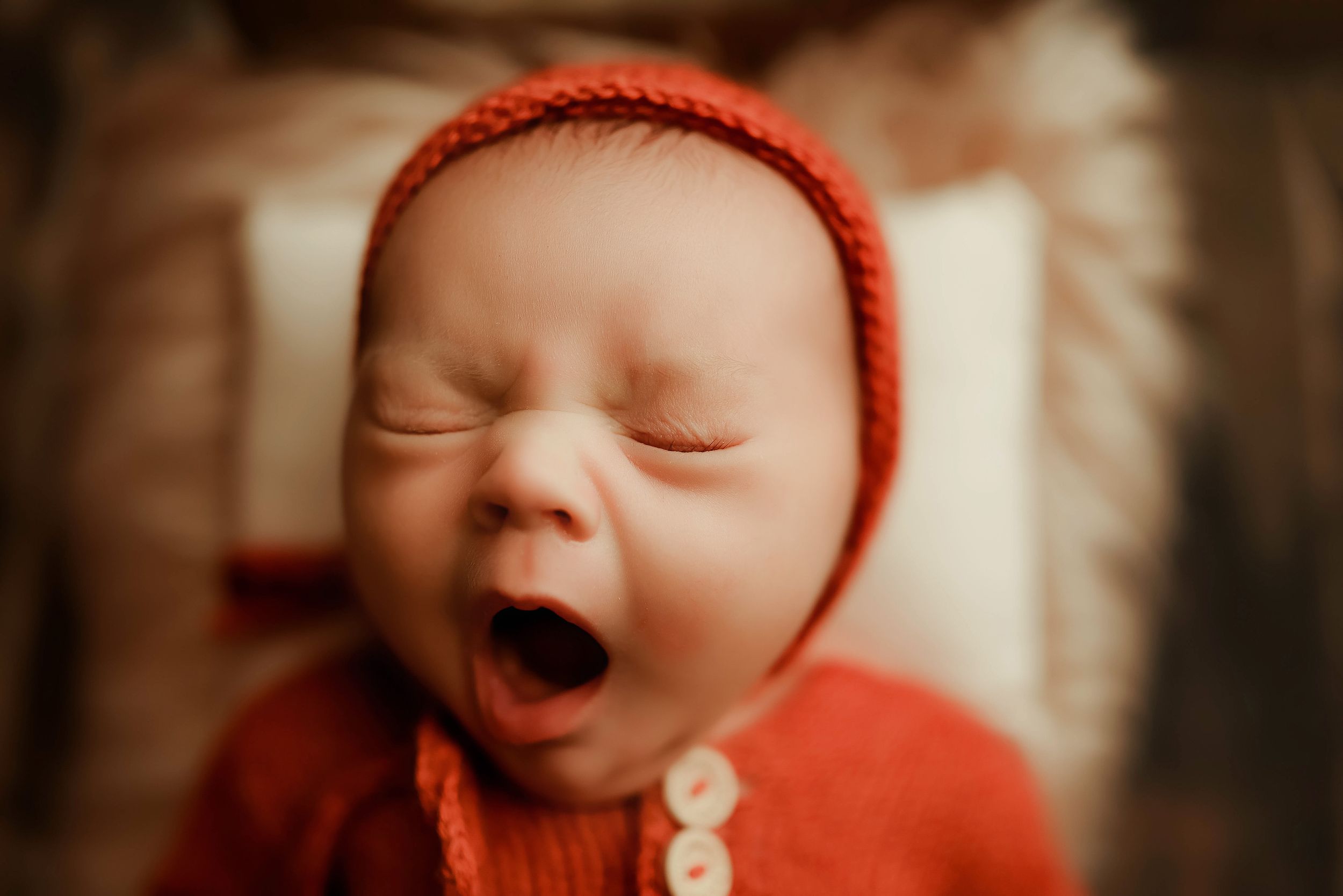 posed studio portrait of newborn baby by Fairbanks Newborn Photographer Applegum Photography