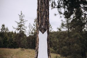 Montana wedding dress hanging in woods