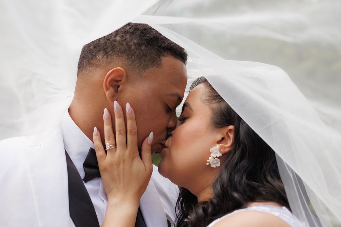 A romantic wedding sequence showing newlyweds kissing in multiple poses under a flowing white veil.