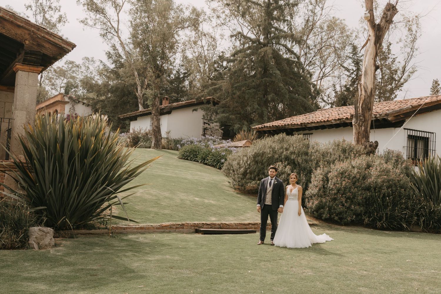 Wedding couple strolls through tranquil garden setting with natural greenery.
