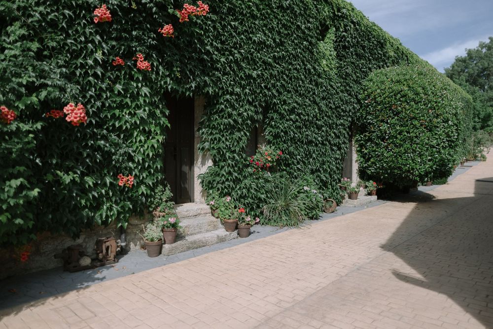 A stone building wall covered in lush green ivy and orange flowers with a path leading to a wooden door.