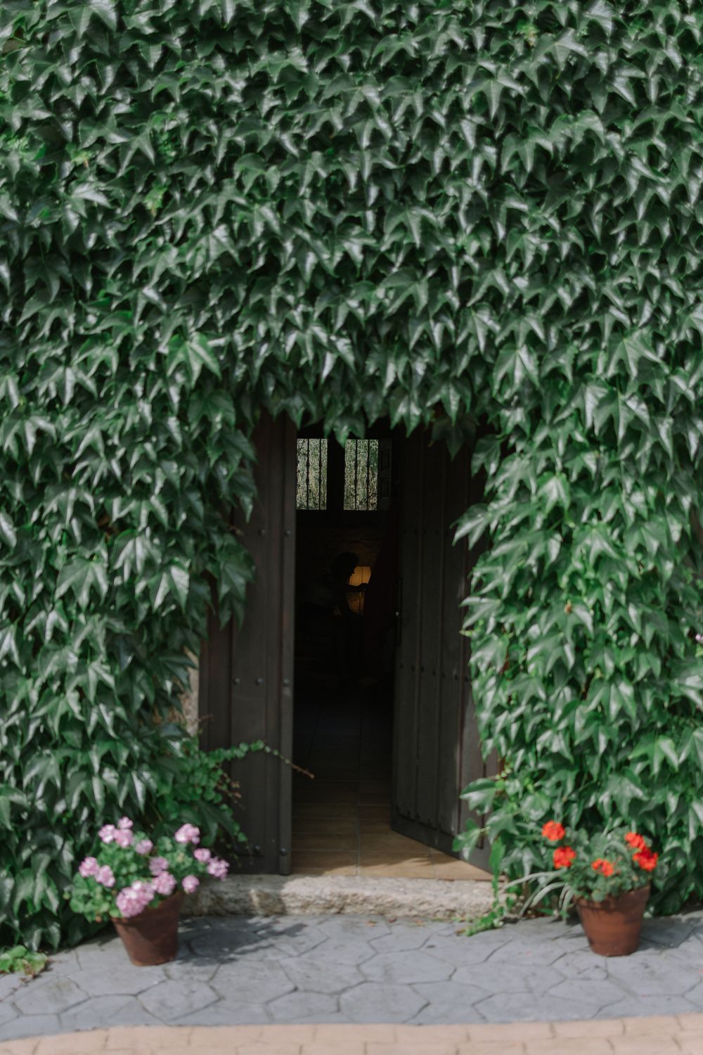 An open wooden doorway framed by lush green ivy and pink and red potted flowers along the stone entrance.