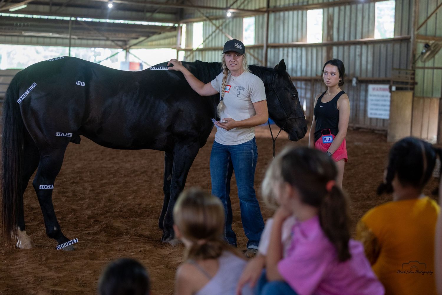 A black horse performs a trick demonstration for spectators in an indoor arena during an equestrian event.