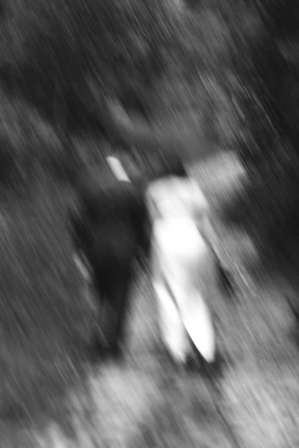 Artistic blurred black and white photo of bride and groom walking through a forest.