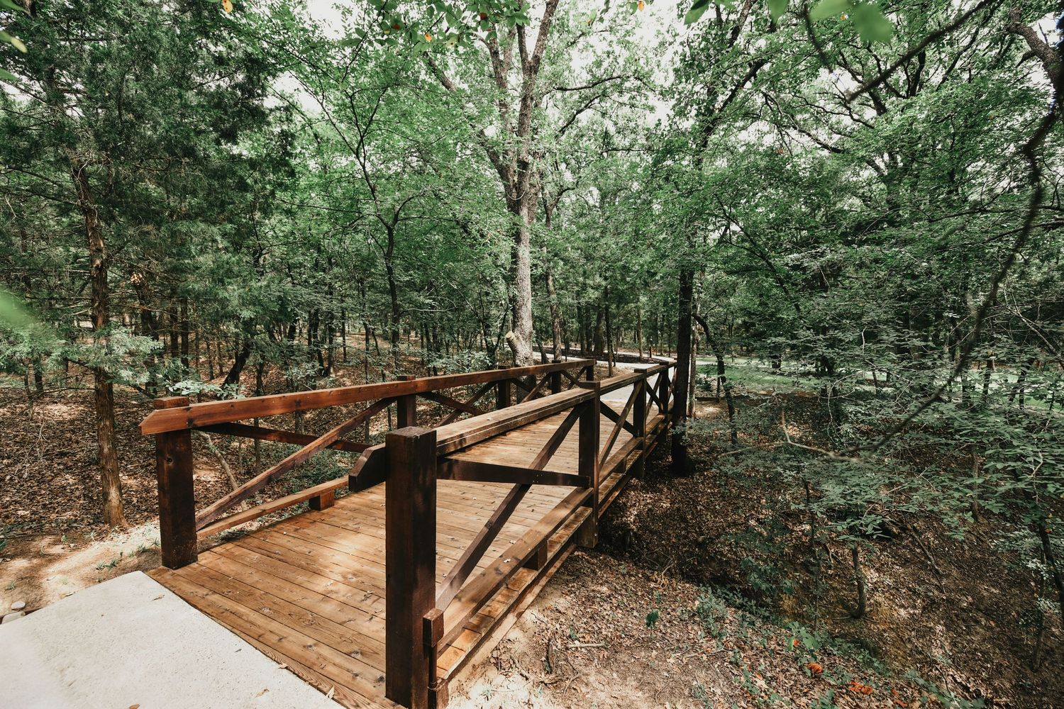 Romantic wooden bridge tucked into a grove of trees in valley view at whispering oaks wedding venue captured by april pinto photography