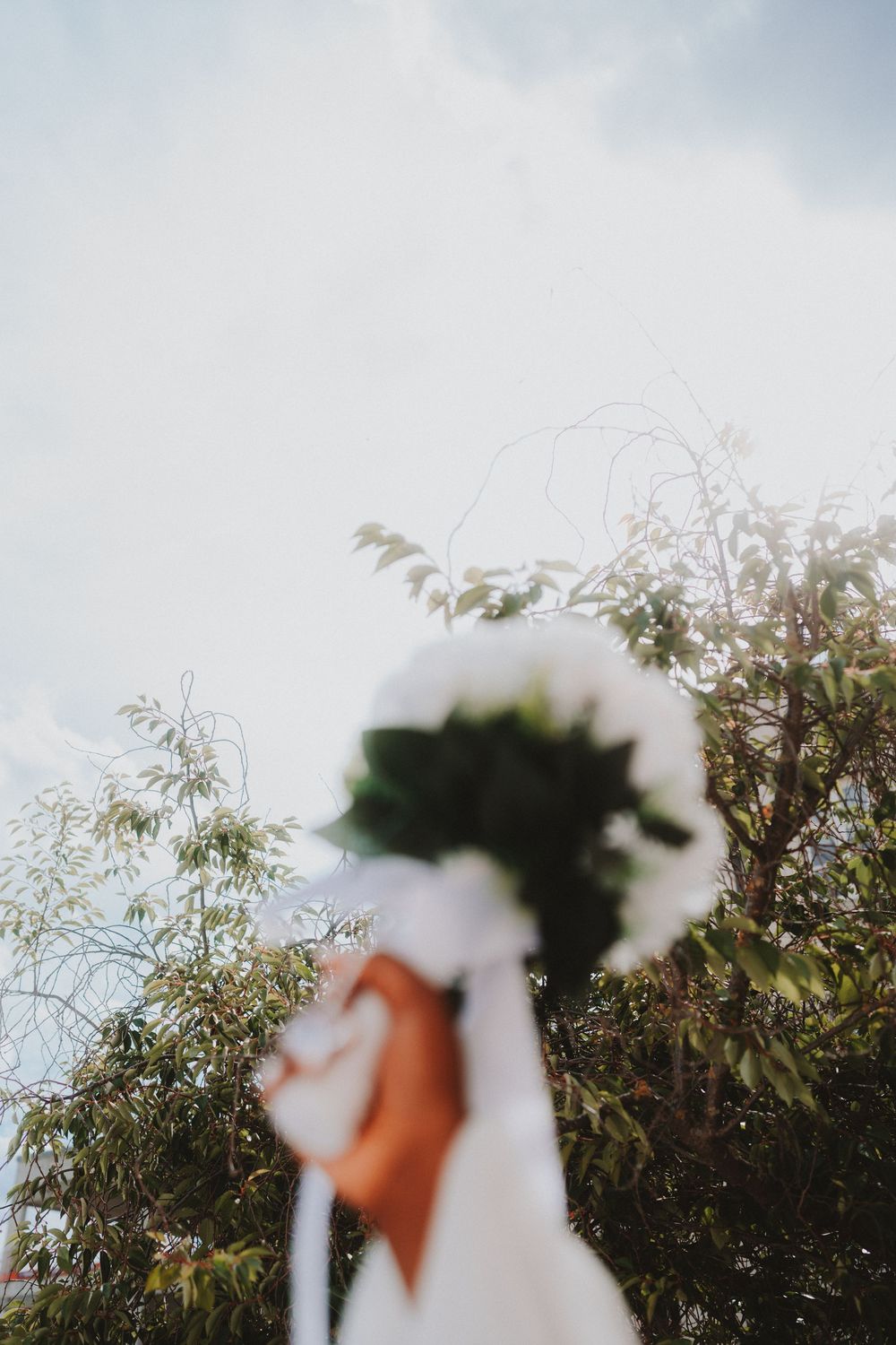 Silhouetted figures with fuzzy white dandelion flowers held against a cloudy sky with trees in the background.