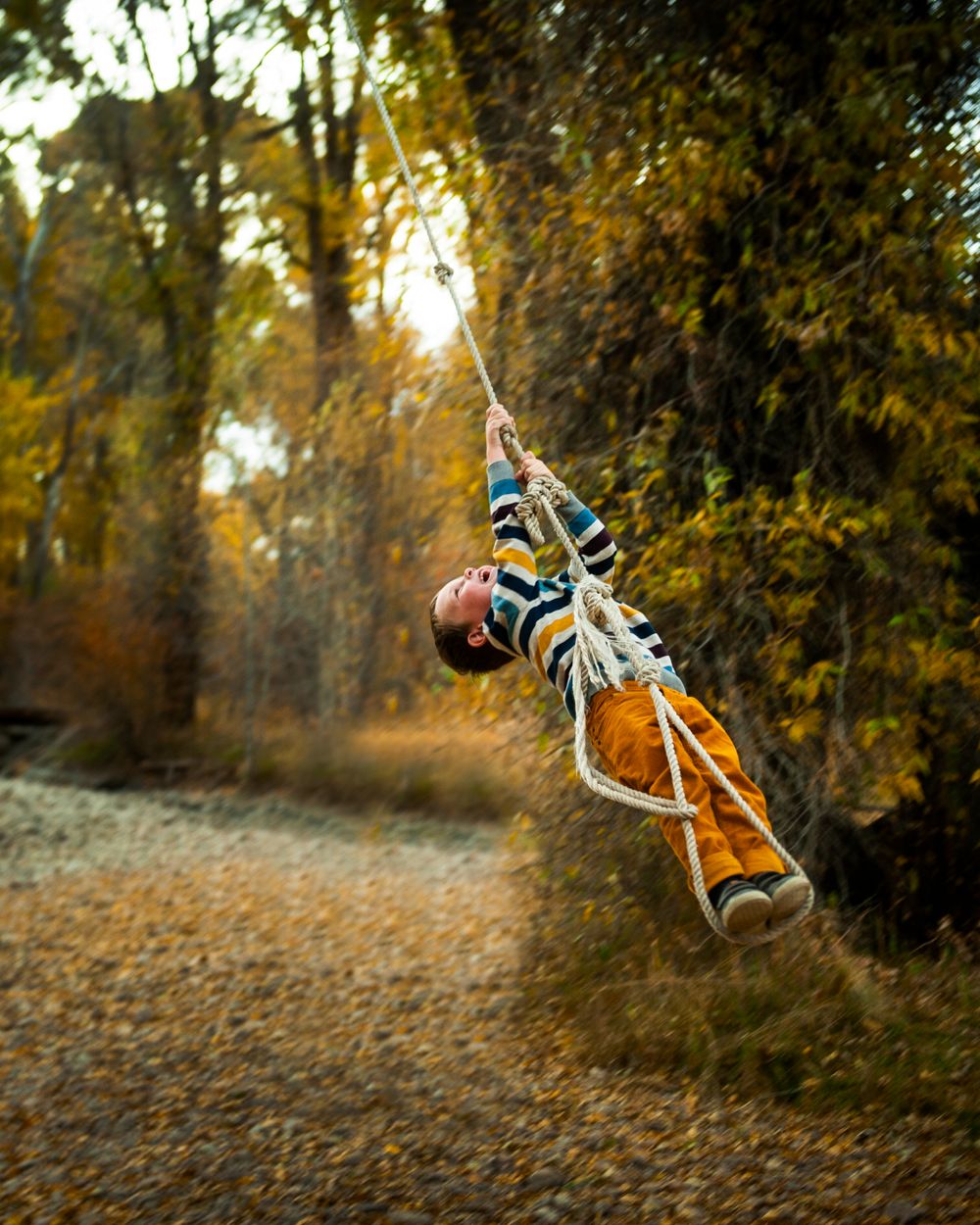 Someone swinging through autumn trees on a rope swing during sunset, creating a dynamic outdoor action shot.